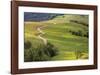 Bald Hills Redwoods National Park-Donald Paulson-Framed Giclee Print