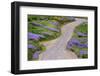 Bald Hills Road through lupine flowers, California-Adam Jones-Framed Photographic Print