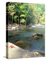 Bald River, Cherokee National Forest, Tennessee, USA-Rob Tilley-Stretched Canvas