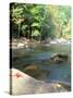 Bald River, Cherokee National Forest, Tennessee, USA-Rob Tilley-Stretched Canvas