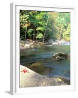 Bald River, Cherokee National Forest, Tennessee, USA-Rob Tilley-Framed Premium Photographic Print