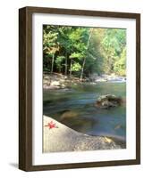 Bald River, Cherokee National Forest, Tennessee, USA-Rob Tilley-Framed Photographic Print