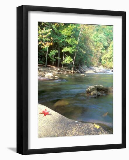 Bald River, Cherokee National Forest, Tennessee, USA-Rob Tilley-Framed Photographic Print