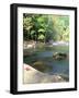 Bald River, Cherokee National Forest, Tennessee, USA-Rob Tilley-Framed Photographic Print