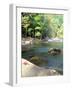 Bald River, Cherokee National Forest, Tennessee, USA-Rob Tilley-Framed Photographic Print