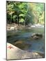 Bald River, Cherokee National Forest, Tennessee, USA-Rob Tilley-Mounted Photographic Print