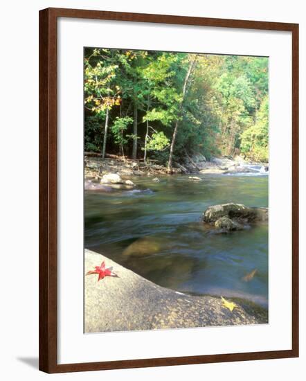 Bald River, Cherokee National Forest, Tennessee, USA-Rob Tilley-Framed Photographic Print