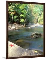 Bald River, Cherokee National Forest, Tennessee, USA-Rob Tilley-Framed Photographic Print