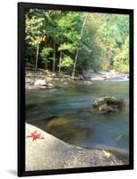 Bald River, Cherokee National Forest, Tennessee, USA-Rob Tilley-Framed Photographic Print