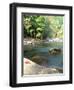 Bald River, Cherokee National Forest, Tennessee, USA-Rob Tilley-Framed Photographic Print