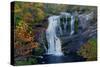 Bald River Falls in Tellico Plains, Tn Usa. Photo by Darrell Young-Darrell Young-Stretched Canvas