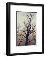 Bald tree in front of the wall of the car park Ritterstrasse in Bielefeld.-Nadja Jacke-Framed Photographic Print