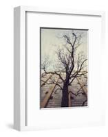 Bald tree in front of the wall of the car park Ritterstrasse in Bielefeld.-Nadja Jacke-Framed Photographic Print