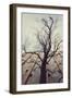 Bald tree in front of the wall of the car park Ritterstrasse in Bielefeld.-Nadja Jacke-Framed Photographic Print