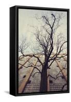 Bald tree in front of the wall of the car park Ritterstrasse in Bielefeld.-Nadja Jacke-Framed Stretched Canvas