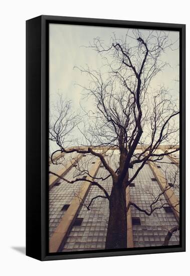 Bald tree in front of the wall of the car park Ritterstrasse in Bielefeld.-Nadja Jacke-Framed Stretched Canvas