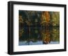 Baldcypress and Water Tupelo, Otter Slough Natural Area, Stoddard County, Missouri, USA-Charles Gurche-Framed Photographic Print