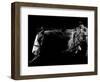 Baldfaced Bulldogger-Julie Chapman-Framed Art Print