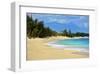 Baldwin Beach Park near Paia, Island of Maui, Hawaii, USA-null-Framed Art Print