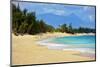 Baldwin Beach Park near Paia, Island of Maui, Hawaii, USA-null-Mounted Art Print