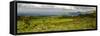 Bale Mountains National Park. Ethiopia.-Roger De La Harpe-Framed Stretched Canvas