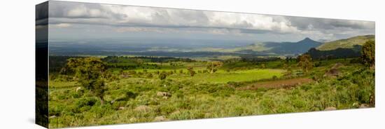 Bale Mountains National Park. Ethiopia.-Roger De La Harpe-Stretched Canvas