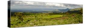 Bale Mountains National Park. Ethiopia.-Roger De La Harpe-Stretched Canvas