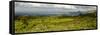 Bale Mountains National Park. Ethiopia.-Roger De La Harpe-Framed Stretched Canvas