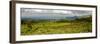 Bale Mountains National Park. Ethiopia.-Roger De La Harpe-Framed Photographic Print