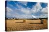 Baled Field, Gloucestershire, England, United Kingdom, Europe-John Alexander-Stretched Canvas