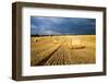 Baled Field, Gloucestershire, England, United Kingdom, Europe-John Alexander-Framed Premium Photographic Print