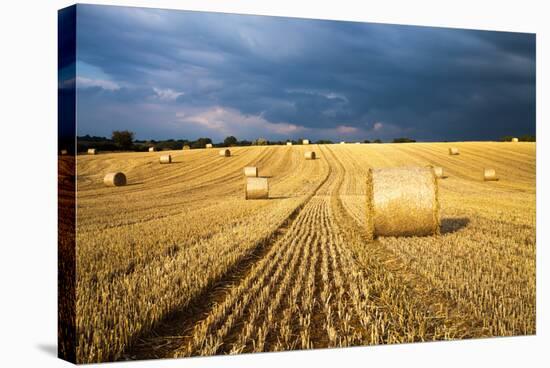 Baled Field, Gloucestershire, England, United Kingdom, Europe-John Alexander-Stretched Canvas