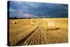 Baled Field, Gloucestershire, England, United Kingdom, Europe-John Alexander-Stretched Canvas