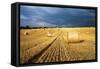 Baled Field, Gloucestershire, England, United Kingdom, Europe-John Alexander-Framed Stretched Canvas