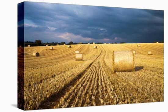 Baled Field, Gloucestershire, England, United Kingdom, Europe-John Alexander-Stretched Canvas