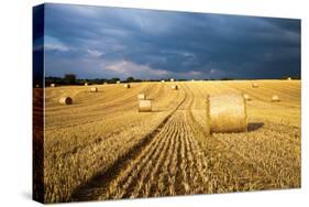 Baled Field, Gloucestershire, England, United Kingdom, Europe-John Alexander-Stretched Canvas