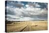 Baled Field, Gloucestershire, England, United Kingdom, Europe-John Alexander-Stretched Canvas