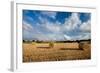 Baled Field, Gloucestershire, England, United Kingdom, Europe-John Alexander-Framed Photographic Print