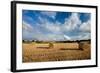 Baled Field, Gloucestershire, England, United Kingdom, Europe-John Alexander-Framed Photographic Print