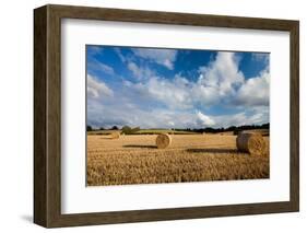 Baled Field, Gloucestershire, England, United Kingdom, Europe-John Alexander-Framed Photographic Print