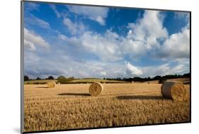 Baled Field, Gloucestershire, England, United Kingdom, Europe-John Alexander-Mounted Photographic Print