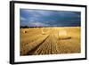 Baled Field, Gloucestershire, England, United Kingdom, Europe-John Alexander-Framed Photographic Print