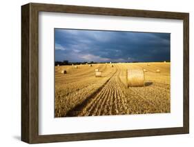 Baled Field, Gloucestershire, England, United Kingdom, Europe-John Alexander-Framed Photographic Print