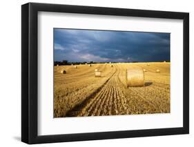 Baled Field, Gloucestershire, England, United Kingdom, Europe-John Alexander-Framed Photographic Print