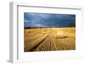 Baled Field, Gloucestershire, England, United Kingdom, Europe-John Alexander-Framed Photographic Print