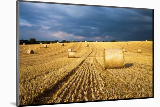 Baled Field, Gloucestershire, England, United Kingdom, Europe-John Alexander-Mounted Photographic Print