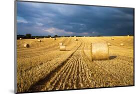 Baled Field, Gloucestershire, England, United Kingdom, Europe-John Alexander-Mounted Photographic Print