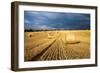 Baled Field, Gloucestershire, England, United Kingdom, Europe-John Alexander-Framed Photographic Print