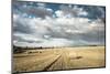 Baled Field, Gloucestershire, England, United Kingdom, Europe-John Alexander-Mounted Photographic Print