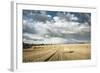 Baled Field, Gloucestershire, England, United Kingdom, Europe-John Alexander-Framed Photographic Print